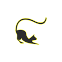 Katzenparadies Hachmann
